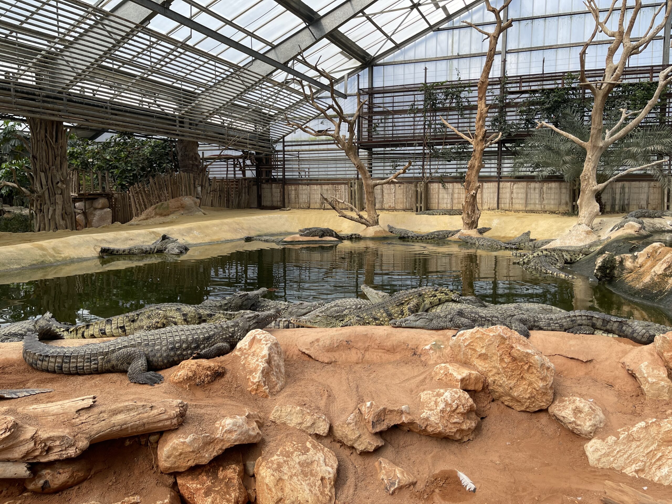 La Ferme aux Crocodiles : 10 000 m² d’exotisme au cœur de la Drôme