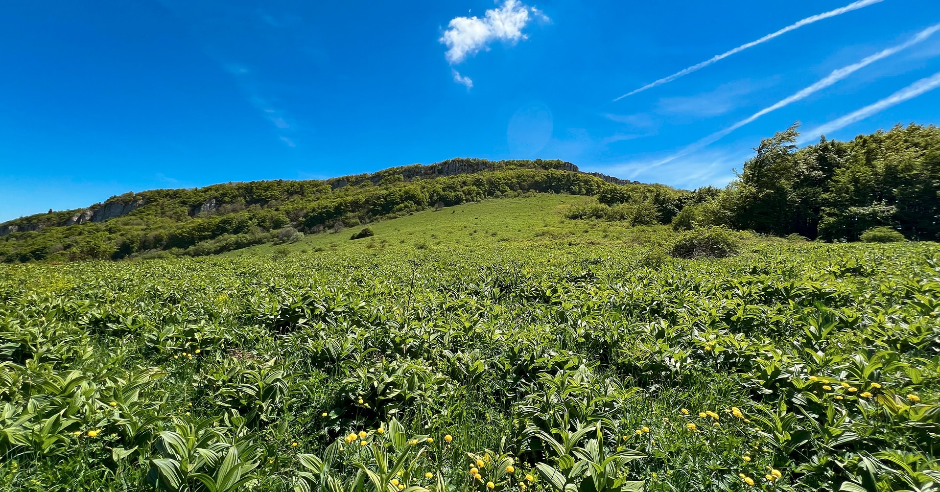 On a testé pour vous : la randonnée vers le Pré de Cinq Sous à Hostun