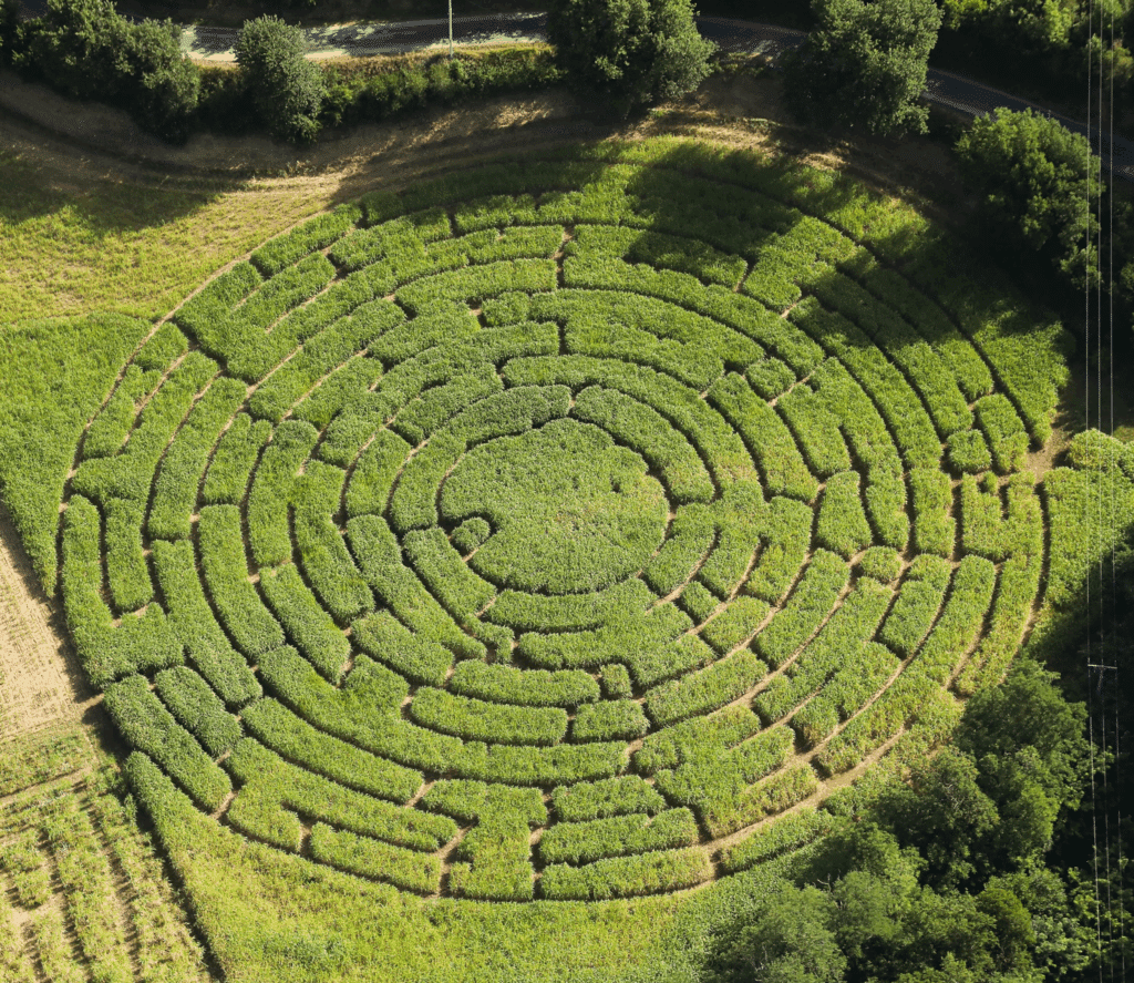 Labyrinthe Végétal Labyleo