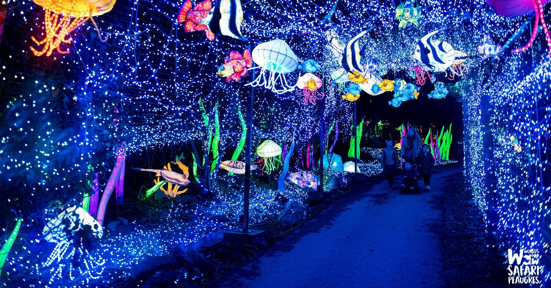 Le Festival Lumières Sauvages revient au Safari de Peaugres dès le 18 octobre