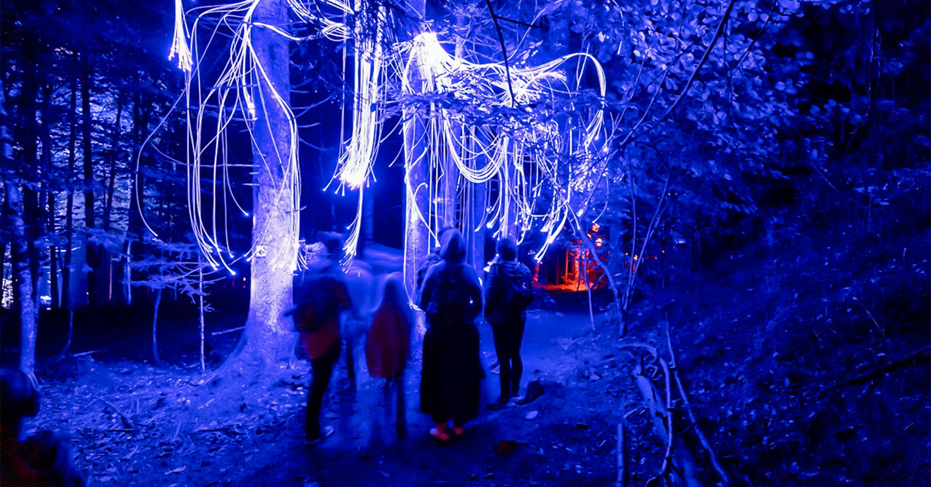 Vercors en Lumières : une balade nocturne immersive à Villard-de-Lans