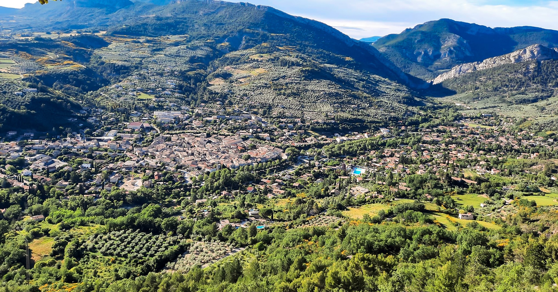 L&rsquo;Olive et l&rsquo;Huile en Fête : la fête de l&rsquo;olive à ne pas manquer dans la Drôme en 2026