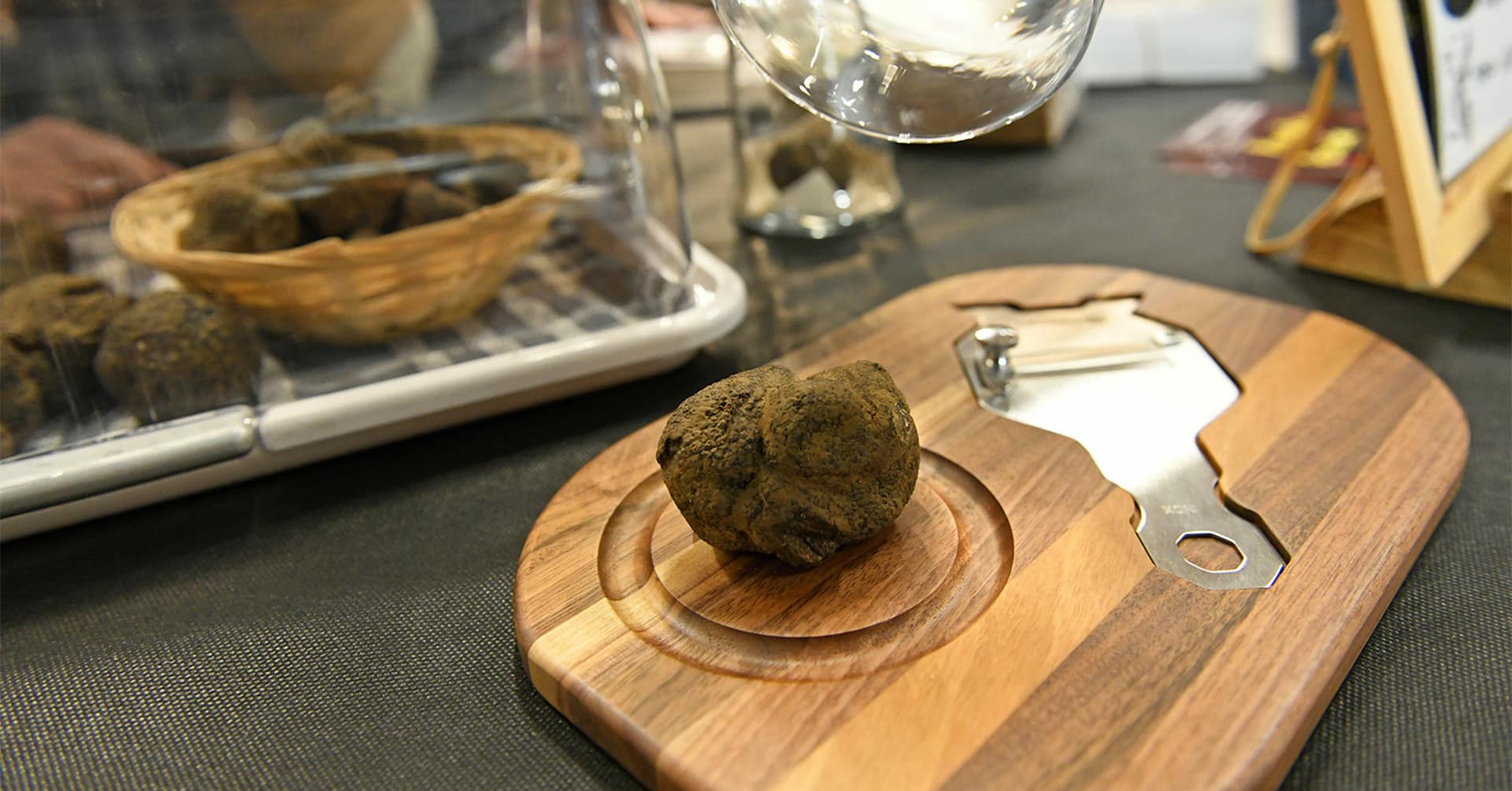 Salon Truffe, Vin & Chocolat 2026 à Valence : dates, programme et infos pratiques