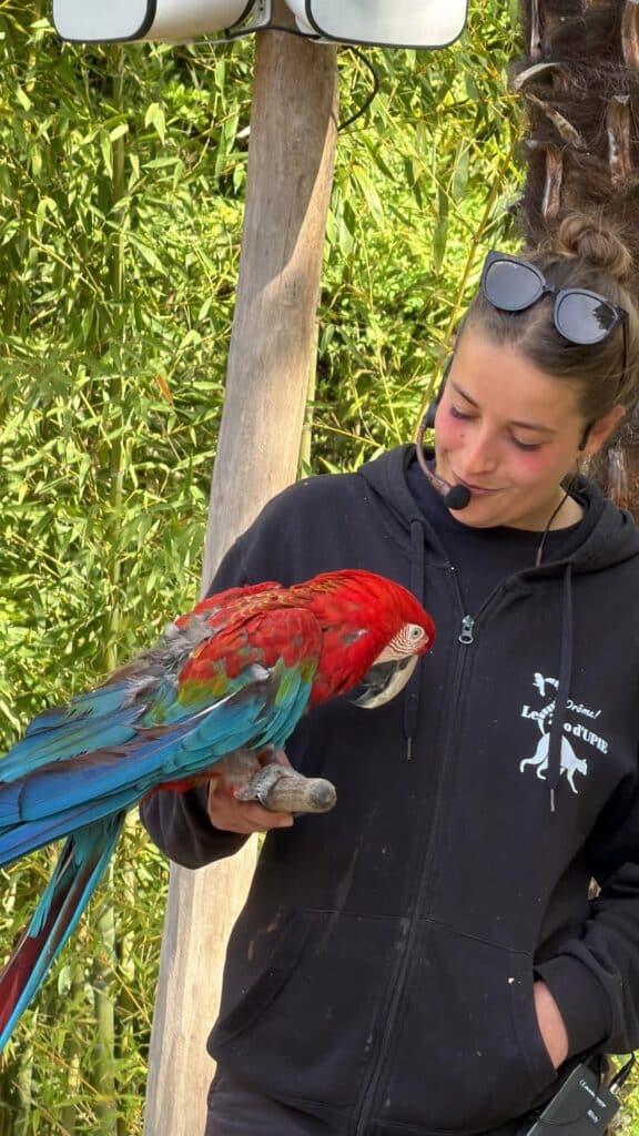 🎥 Aujourd’hui, on vous emmène au @zoo_upie 🦜 Au programme : •…