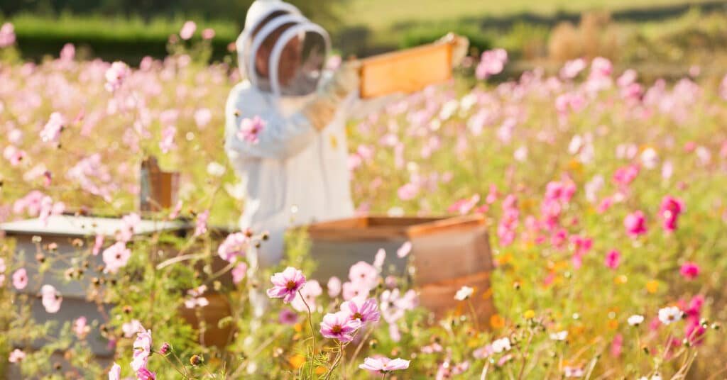 Fête de la Nature 2026 dans la Drôme : des idées de sorties gratuites du 20 au 25 mai