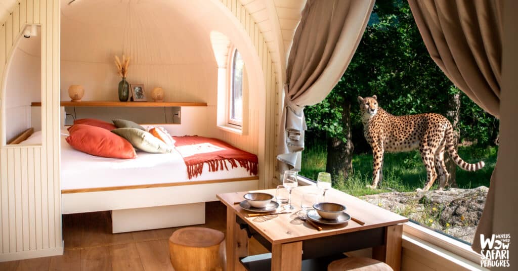 Que faire pour la fête des mères 2026 dans la Drôme et ses alentours ?