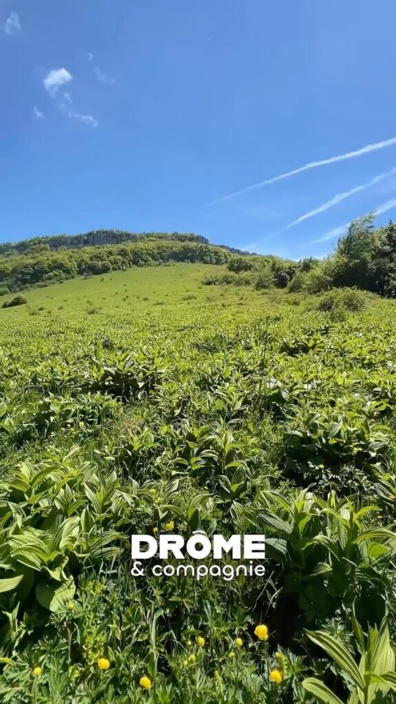 🎉 Aujourd’hui on fête le 1er anniversaire de Drôme & Compagnie et…