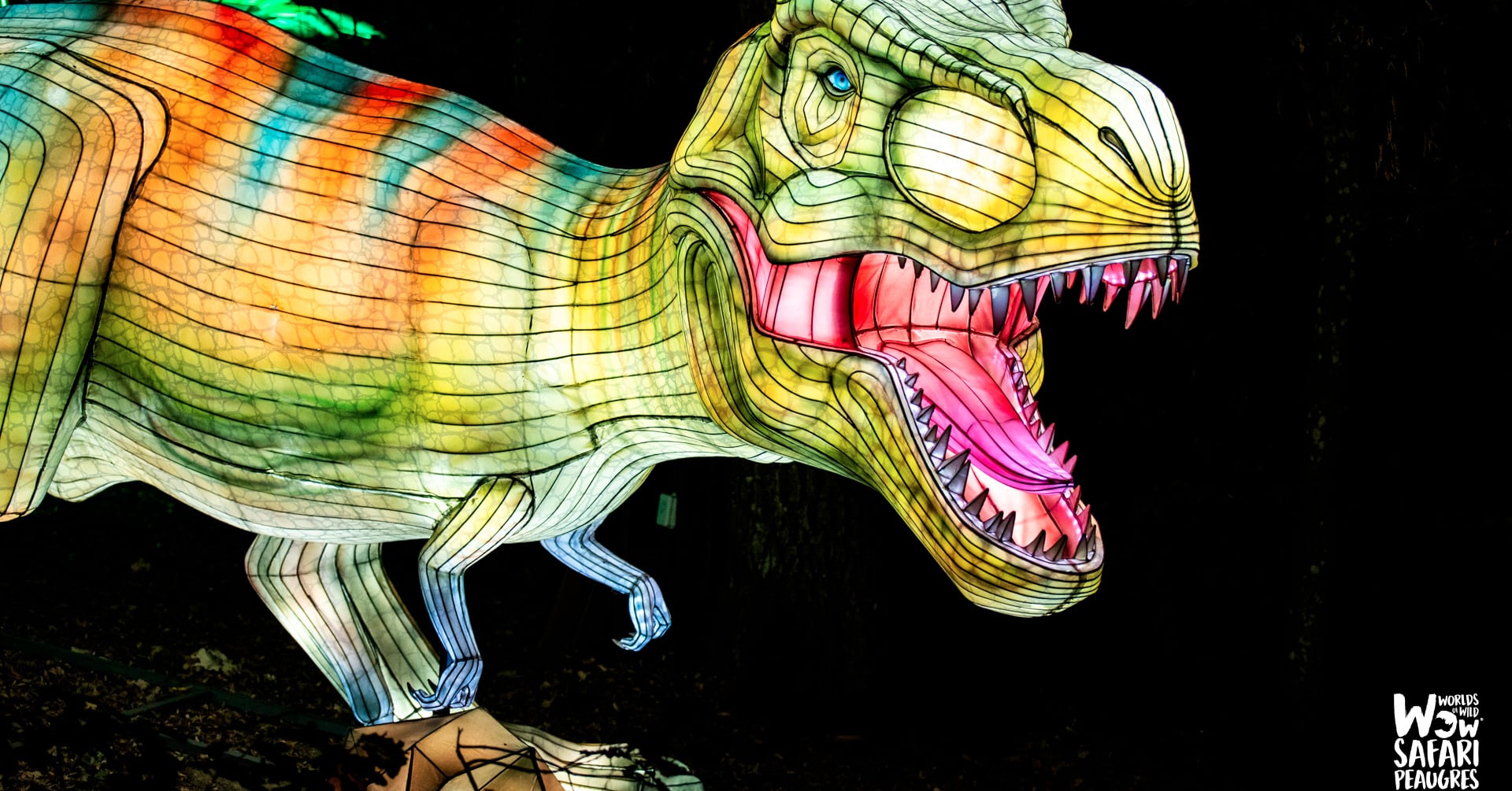 Le festival Lumières Sauvages du Safari de Peaugres dévoile son nouveau thème pour l’édition 2026
