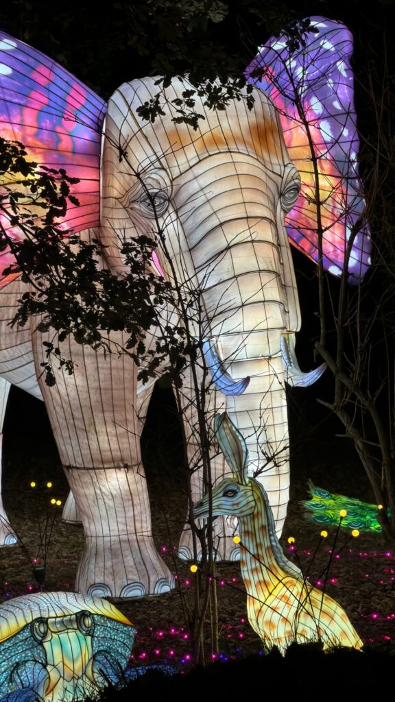 On est de retour chez @wowsafaripeaugres pour découvrir la nouvelle édition du…