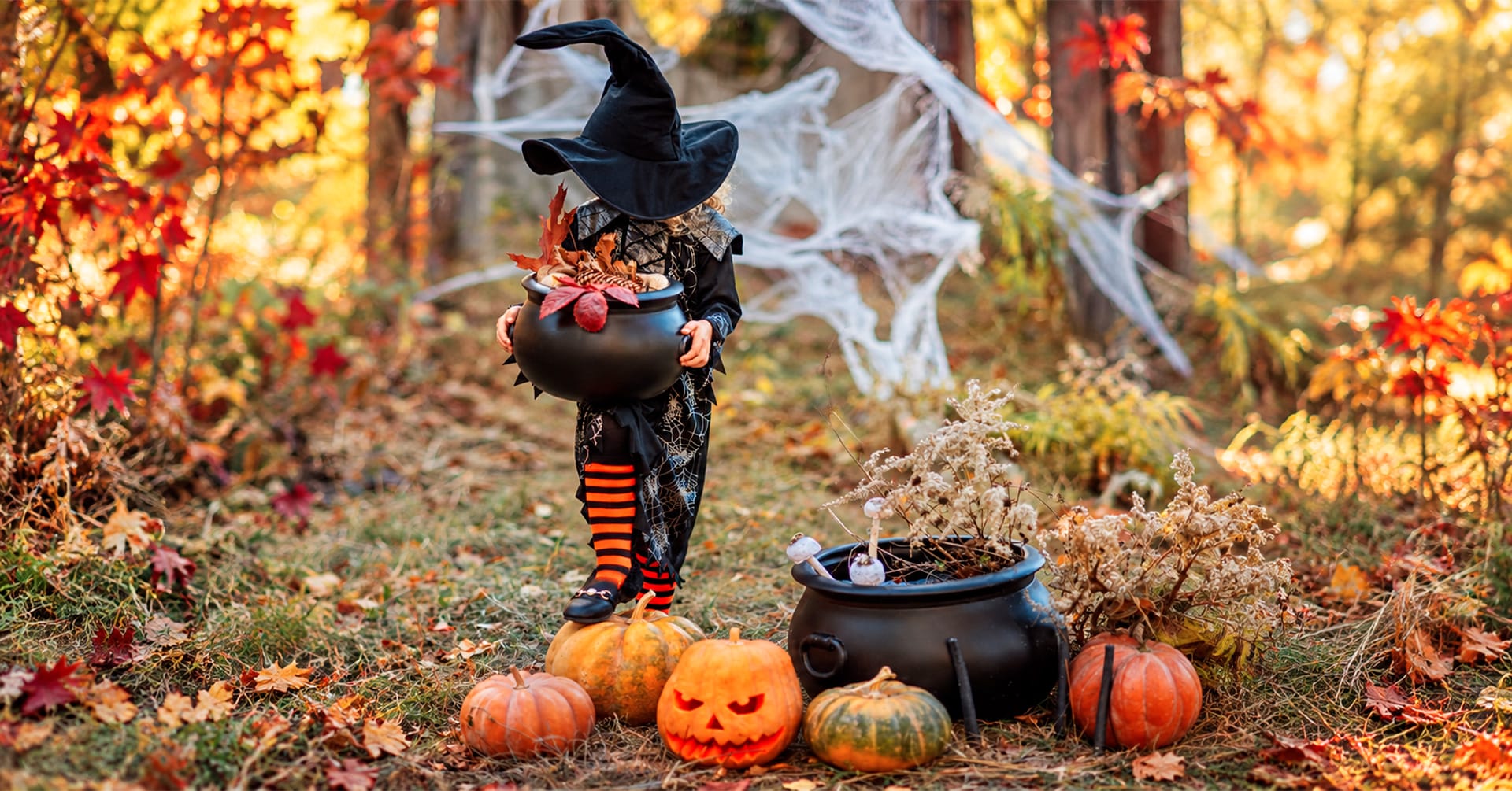 Où fêter Halloween 2026 avec les enfants dans la Drôme et ses alentours ?